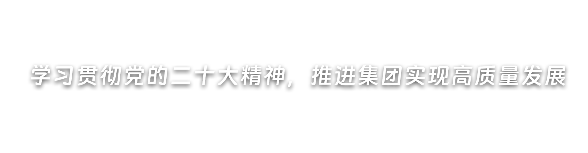 深入開展黨紀學習教育，推進集團高質量發展